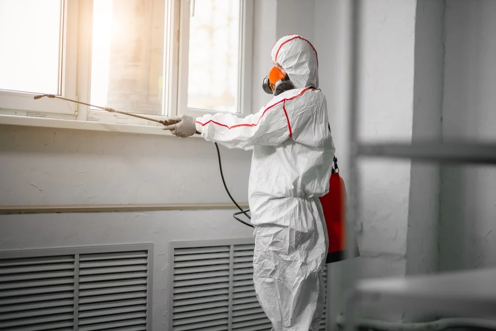 Professional mold remediation services in Hooper, UT